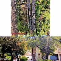 Πρωτοβουλία πολίτων Πτολεμαΐδας / Εορδαίας  για την ανάπτυξη: Παρατηρήσεις – επισημάνσεις προς την παρούσα Δημοτική Aρχή  – Δείτε φωτογραφίες