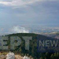Υπό μερικό έλεγχο η φωτιά σε δύσβατη περιοχή στο Μεσόβουνο Εορδαίας