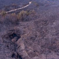 Φωτιά στον Έβρο: Βίντεο από drone αποτυπώνει το μέγεθος της ασύλληπτης καταστροφής