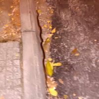 Φίδι σε κεντρικό σημείο της πόλης – Το εντόπισε πολίτης & κάλεσε την Πυροσβεστική Υπηρεσία Κοζάνης – Δείτε βίντεο