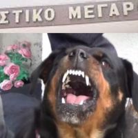 Η εξαγορά της ενοχής – Της Ράνιας Στυλιάδου