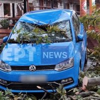 Πτώσεις δέντρων από ισχυρούς ανέμους στο Μέτσοβο – Κατολισθήσεις στα Τζουμέρκα