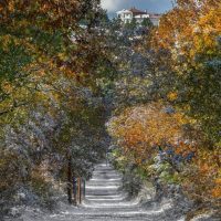 Χρώματα του φθινοπώρου και του χειμώνα αρμονικά δεμένα….Κουρί Κοζάνης – Του Αργύρη Καραμούζα