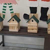 “Φωλιές και ταΐστρες για τα πουλιά” στην Πτολεμαΐδα & “Κάλαντα με τον Καρυοθραύστη” στο Καρυοχώρι, την Τετάρτη