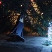 Έπεσε το χριστουγεννιάτικο δέντρο έξω από το Δημαρχείο της Σιάτιστας, από τον δυνατό αέρα