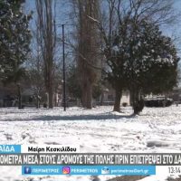 Έκπληκτος έμεινε κάτοικος της Πτολεμαΐδας όταν ήρθε πρόσωπο με πρόσωπο με έναν λύκο