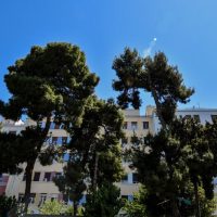 Λάρισα: Από στρεπτόκοκκο ο θάνατος 28χρονου από τον Τύρναβο -Δεν έβρισκαν οι γιατροί από τι έπασχε