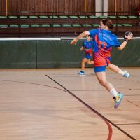 Δήμος Βοΐου: Τουρνουά Handball Παγκορασίδων Α΄ στο Τσοτύλι 29- 30- 31 Μαρτίου 2024