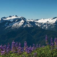 Διασώθηκε ορειβάτης που εγκλωβίστηκε τραυματισμένος σε χαράδρα στον Όλυμπο