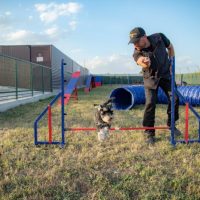 White Ghosts K9 : Διήμερο εκπαιδευτικό σεμινάριο σκύλων στην Κοζάνη με κορυφαίους εκπαιδευτές – Δείτε περισσότερα