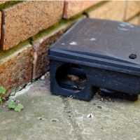 Ποια είναι τα οφέλη της απολύμανσης σε αστικά περιβάλλοντα