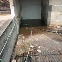 Πρωτοβουλία Πολιτών Πτολεμαΐδας: Θα απαντήσει επιτέλους η Δημοτική Αρχή για το κλείσιμο του Παλαιοντολογικού Μουσείου Πτολεμαΐδας και την ασφάλεια του;