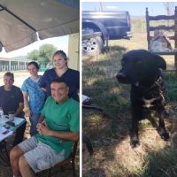 Διήμερο στειρώσεων στο Δημοτικό Καταφύγιο Εορδαίας