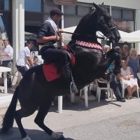 Ανήμερα της Παναγιάς, το ξακουστό έθιμο των καβαλάρηδων αναβίωσε στη Σιάτιστα