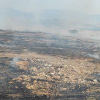 Ευχαριστήρια Επιστολή για την κατάσβεση της πρόσφατης πυρκαγιάς στην ευρύτερη περιοχή των Πετρανών Κοζάνης