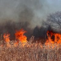 Τεράστια η οικολογική καταστροφή από την πυρκαγιά στην Σμύρνη – Κάηκαν σπίτια και επιχειρήσεις