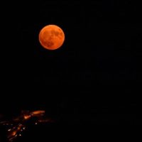 Πανσέληνος Αυγούστου: Πώς πήρε το όνομά του το φεγγάρι του Οξύρυγχου και πότε θα το δούμε