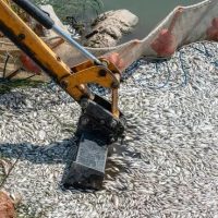 Βόλος: Νέκρωσαν τα ξενοδοχεία των Αλυκών -“Έφυγε το 90% των πελατών, ακυρώθηκαν κρατήσεις”