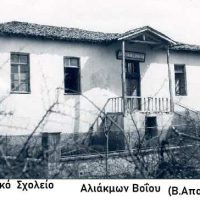 Αλιάκμων, ο (Βρατήνιον, Παλιούριον) Δήμου Βοΐου Κοζάνης  – Του Βασίλη Αποστόλου