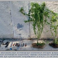 3 συλλήψεις για ναρκωτικά και όπλα σε περιοχές της Φλώρινας και της Πτολεμαΐδας