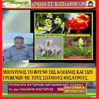 Δυτική Μακεδονία ιδανική περιοχή για εναλλακτικό τουρισμό Μπούρινος το βουνό με τους σπάνιους θησαυρούς (βίντεο) – του Σταύρου Π.Καπλάνογλου Πρόεδρου του ΕΒΕ Κοζάνης 1983-1987