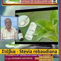 Στέβια – Stevia rebaudian: Καλλιέργεια και ιατροφαρμακευτικές ιδιότητες – Της Μάρθας Στ. Καπλάνογλου