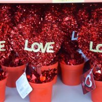 Happy Market Jumbo στην Κοζάνη – Δώρα που “θα κάψουν καρδιές” – Αμέτρητες προτάσεις δώρων για τους ερωτευμένους!