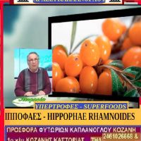 Ιπποφαές: Καλλιέργεια, ιατροφαρμακευτικούς ιδιότητες και άλλες χρήσεις – Γράφει η Μάρθα Καπλάνογλου, Γεωπόνος