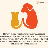 Δήμος Κοζάνης: ΔΩΡΕΑΝ στειρώσεις αδέσποτων ζώων συντροφιάς, δεσποζόμενων ζώων ευπαθών κοινωνικών ομάδων