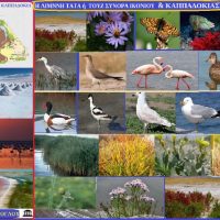 Λίμνη Τάτα ή Αλμυρή λίμνη ή Λίμνη Tουζ – Του Σταύρου Π. Καπλάνογλου