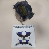 Πτολεμαΐδα: Συνελήφθη 57 χρόνος για διακίνηση ναρκωτικών και για καλλιέργεια δενδρυλλίων κάνναβης