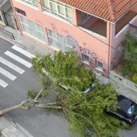 Θεομηνία στην Κοζάνη – Έξι φωτιές και πολλές πτώσεις δέντρων – Επί ποδός Πυροσβεστική και Αστυνομία