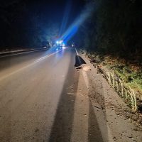 Τροχαίο ατύχημα με αγριογούρουνο στο 3οχλμ Σερβίων – Κοζάνης – Σοβαρές υλικές ζημιές στο ΙΧ αυτοκίνητο – Δείτε φωτογραφίες