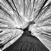 Συνάντηση μελών και φίλων της Κινηματογραφικής Ομάδας Πτολεμαΐδας