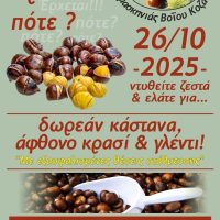 Καστανογιορτή στη Δαμασκηνιά Βοΐου