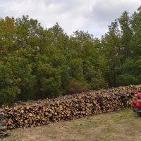 Διπλάσια ποσότητα καυσόξυλων στους κατοίκους της Δημοτικής Κοινότητας Μεταξά