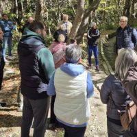 «Δάσος για Όλους»: Μια μοναδική εμπειρία στο Σκεπασμένο Βελβεντού με συμμετοχή για όλους