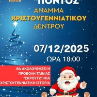 Φωταγώγηση του Χριστουγεννιάτικου Δέντρου στα Αλωνάκια Κοζάνης