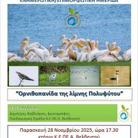 «Ορνιθοπανίδα της λίμνης Πολυφύτου»: Επιμορφωτική- Ενημερωτική ημερίδα του Κ.Ε.ΠΕ.Α. Βελβεντού