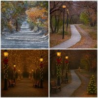 Από την πραγματικότητα στο όραμα: Η εορταστική εκδοχή του δάσους Κουρί μέσα από τα μάτια του Αργύρη Καραμούζα