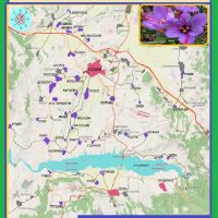 Η σημασία της καλλιέργειας του Κρόκου για την Ελλάδα και ιδιαίτερα για την περιοχή της Κοζάνης όπου καλλιεργείται – Του Σταύρου Π. Καπλάνογλου