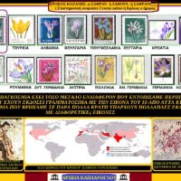 Κρόκος Κοζάνης ή Σαφράν ή Ζαφορά ή Σαφράνι – Του Σταύρου Π. Καπλάνογλου