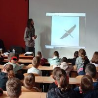 Παρουσίαση του Φωτογραφικού  project «Πουλιά της λίμνης Πολυφύτου» του καταξιωμένου φωτογράφου Δημήτρη Βαβλιάρα  στο Δημοτικό Σχολείο  Αιανής