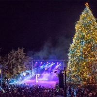 Δήμος Βοΐου: Γεμάτη λάμψη, μουσική και μαγεία η φωταγώγηση του Χριστουγεννιάτικου Δέντρου στη Σιάτιστα – Δείτε φωτογραφίες