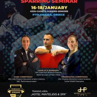 Η Πτολεμαΐδα στο Επίκεντρο του Διεθνούς Taekwondo: Έρχεται το κορυφαίο Sparring Seminar
