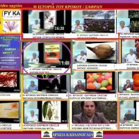 Πως αντιμετωπίζουμε τα τρωκτικά που προσβάλλουν το κρόκο- Άρθρο του Σταύρου Καπλάνογλου