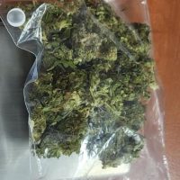 Γρεβενά: Σύλληψη 31χρονου για κατοχή κάνναβης μετά από έλεγχο της ΟΠΚΕ