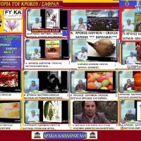 Τι ζητά ο κρόκος για να καλλιεργηθεί – Του Σταύρου Καπλάνογλου