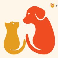 Δήμος Κοζάνης: Δωρεάν στειρώσεις ζώων συντροφιάς και ποιμενικών σκύλων