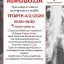 Ο Σύλλογος Εθελοντών Αιμοδοτών Κοζάνης «Γέφυρα Ζωής» καλεί τους πολίτες στην 4η εθελοντική αιμοδοσία